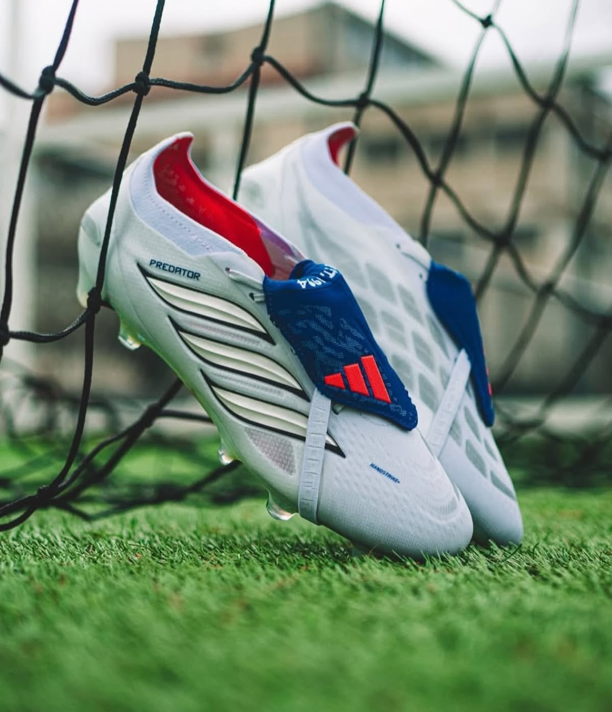 Adidas Predator