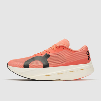 GALLERY_1